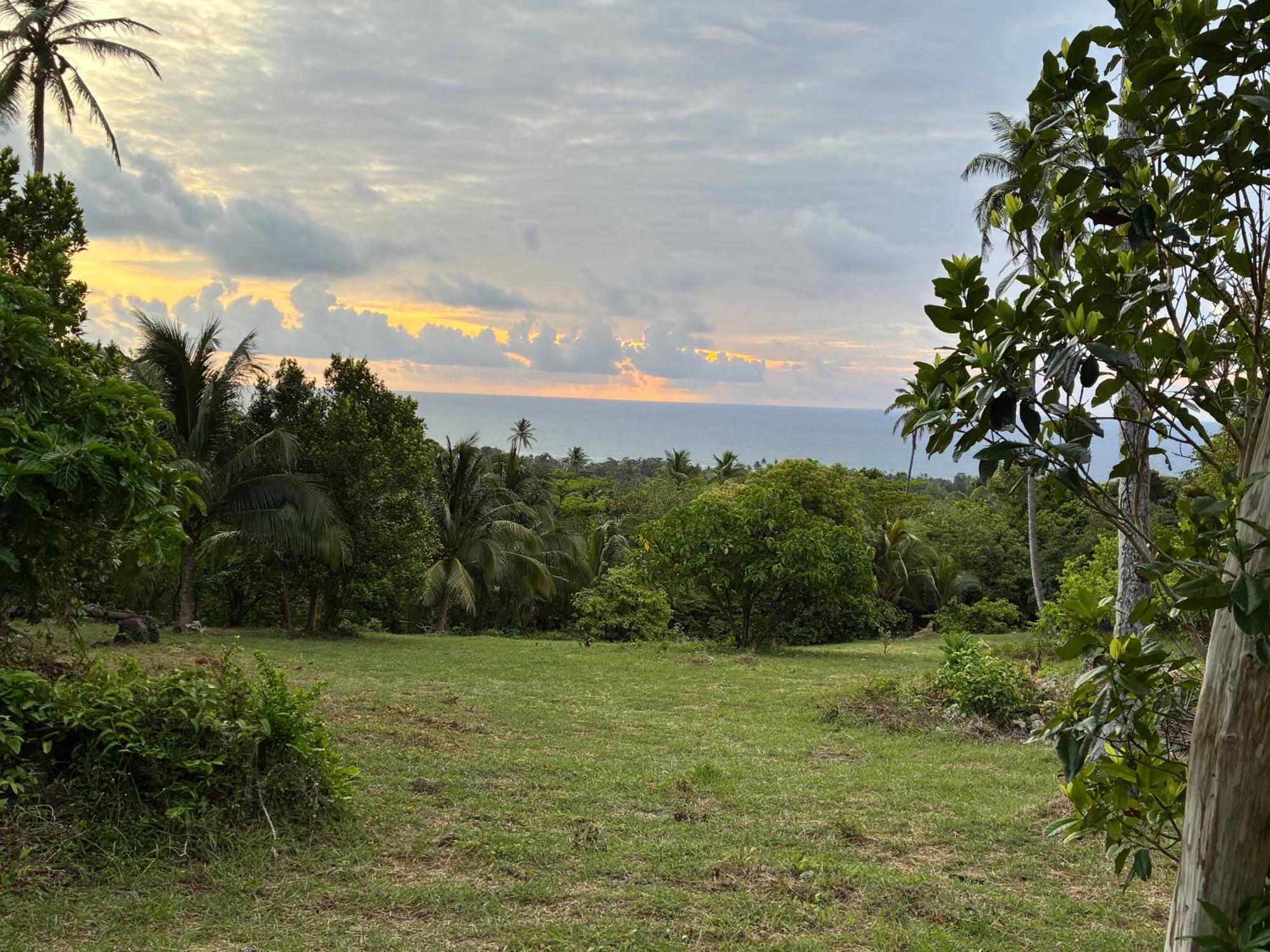 Star Apple Apartment